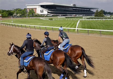 2023 Belmont Stakes post draw: Results, full field, .
